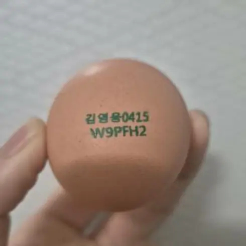 Maumma12의 김영웅 달걀