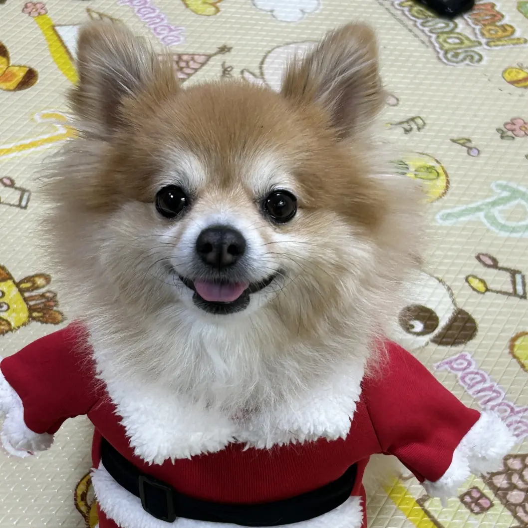 SleazyVale7604의 남사친 청명
