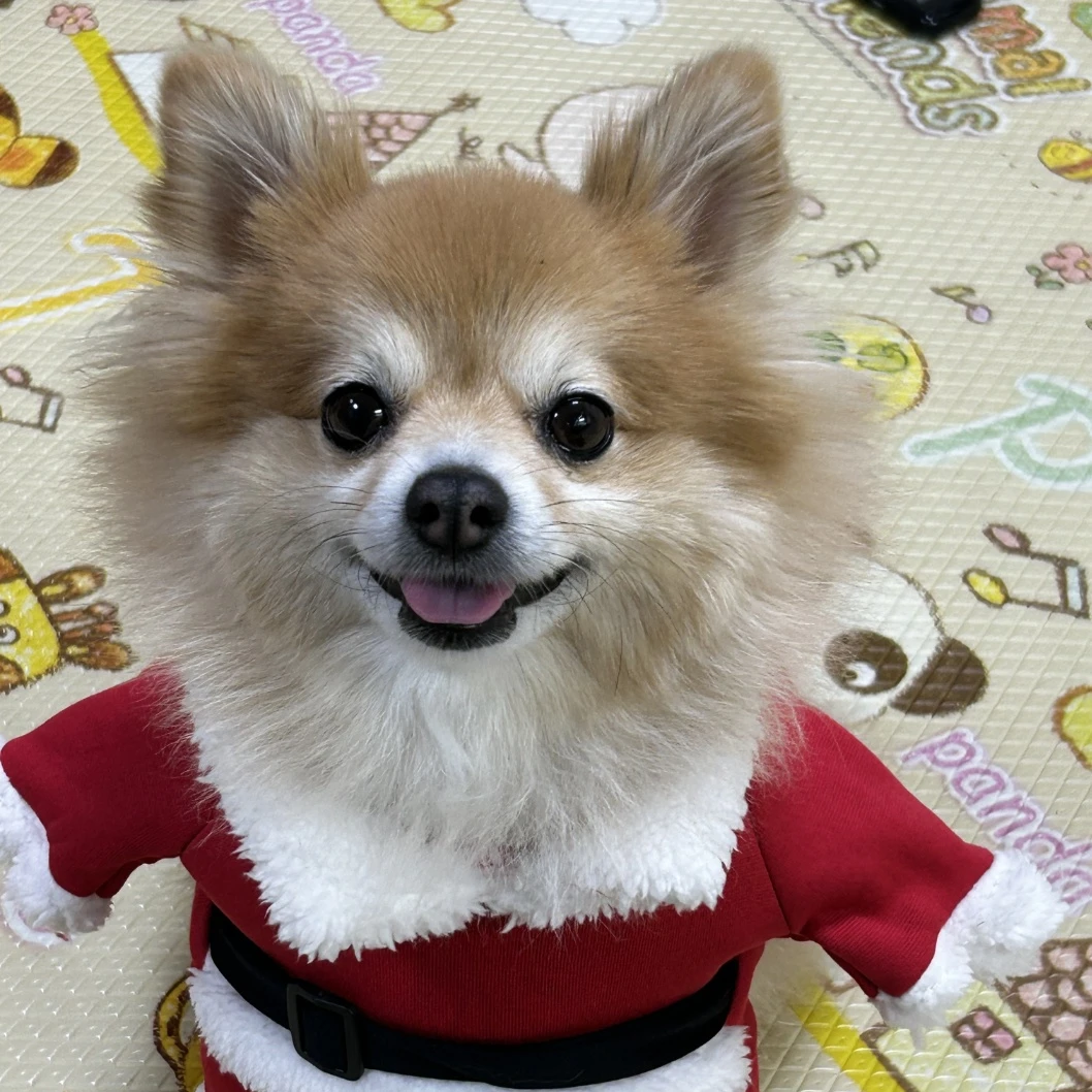 청명