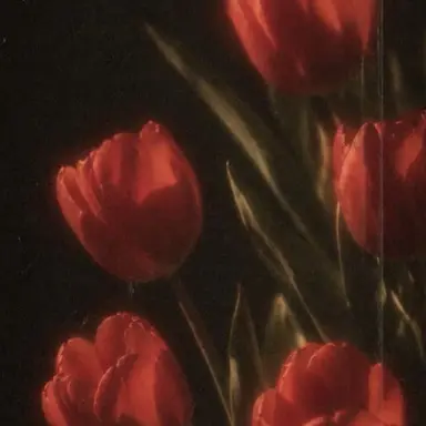 Profile image of 플래그