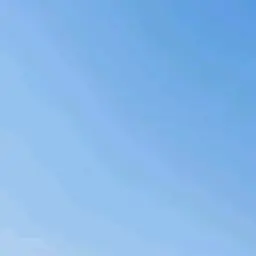 Profile image of 回数を数える人