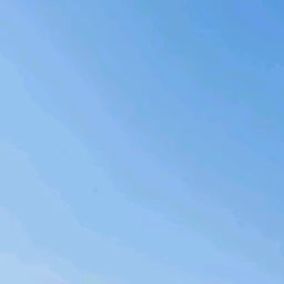 回数を数える人