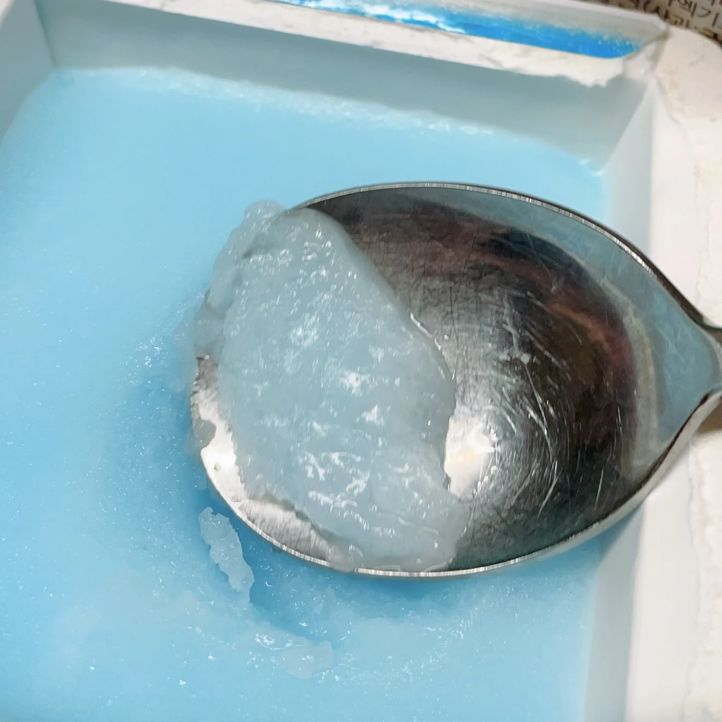 선배들