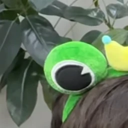 정세민