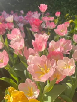 Profile image of Flora