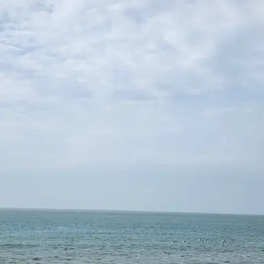 Profile image of 타코