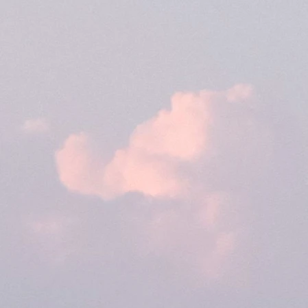 류