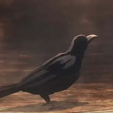 Profile image of 꺽쇠 까마귀