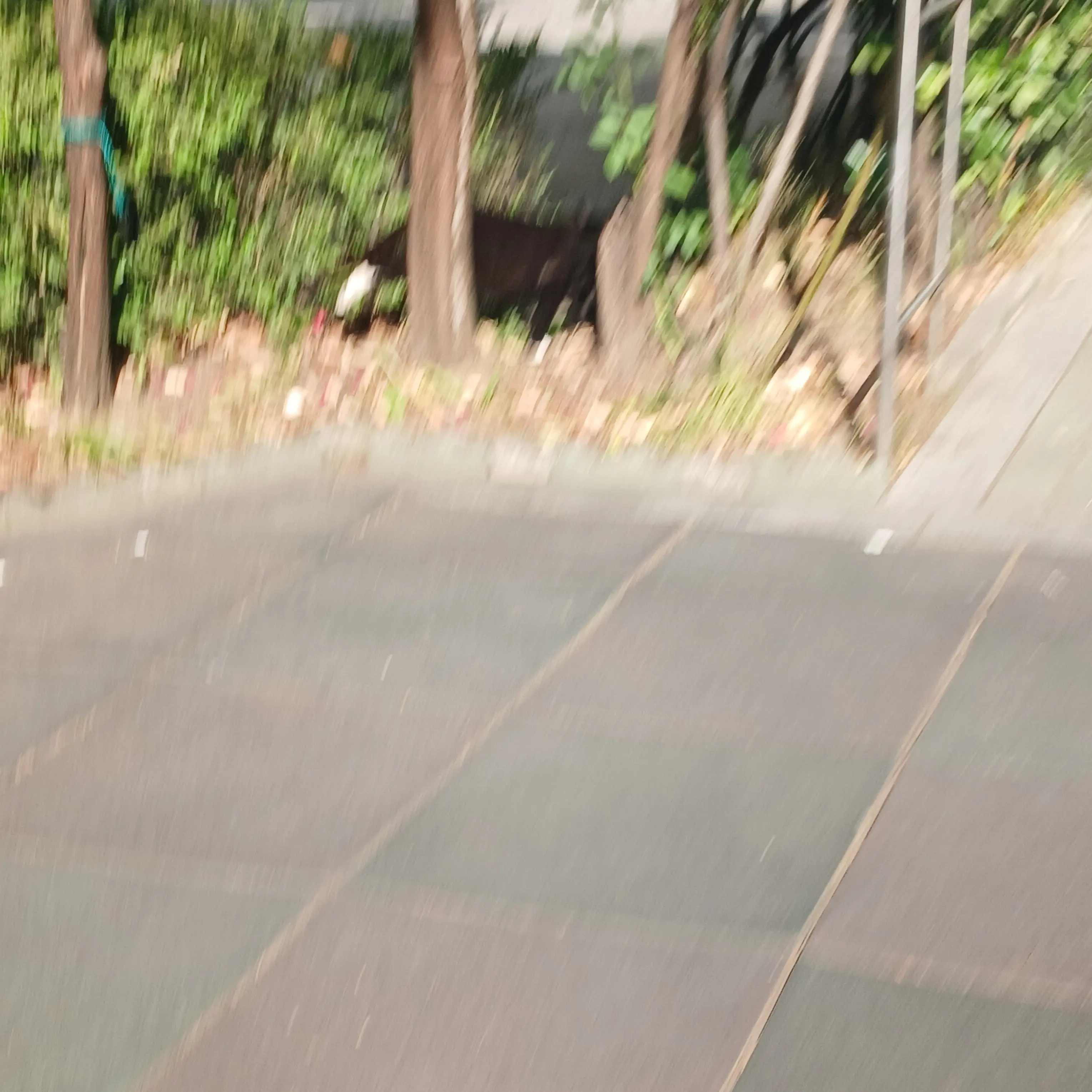 CalmRifle9901의 일진녀의 급똥 맊는 찐따들