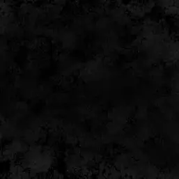 Profile image of フラン