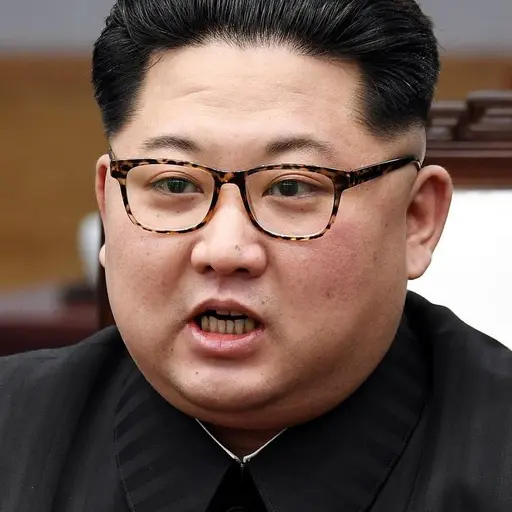 vnflsk1013의 김정은