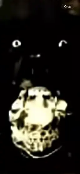 Profile image of Aizawa