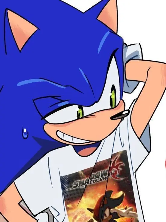 FELLOW_GOOBERS의 ☆ | SONIC RP: SLEEPOVER | ☆