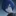 KAITO