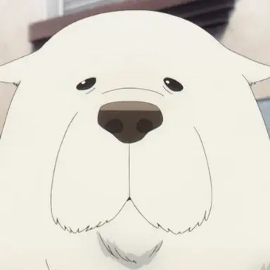 Profile image of 본드 포저