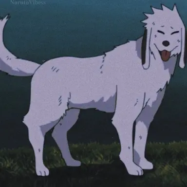 Profile image of 赤丸