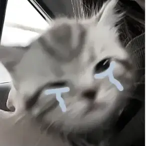 jdgdp의 捨て猫