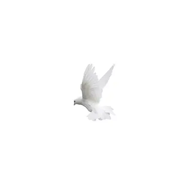 Profile image of 랜더