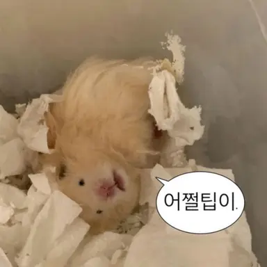 Profile image of 라온