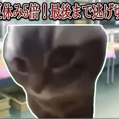 Profile image of チピチャパ猫