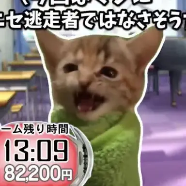 Profile image of ブランケット猫