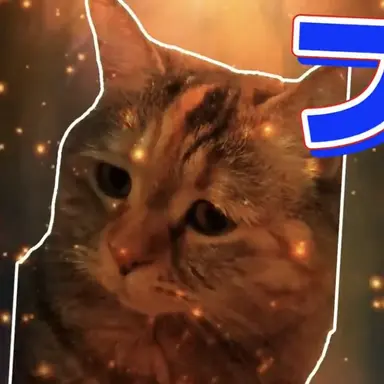 Profile image of 怒られ猫