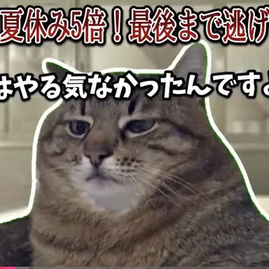 Profile image of 面倒猫
