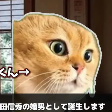 Profile image of 説教猫