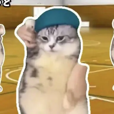 Profile image of GE猫