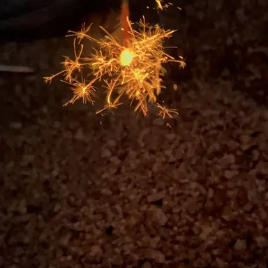 Profile image of SnowMan