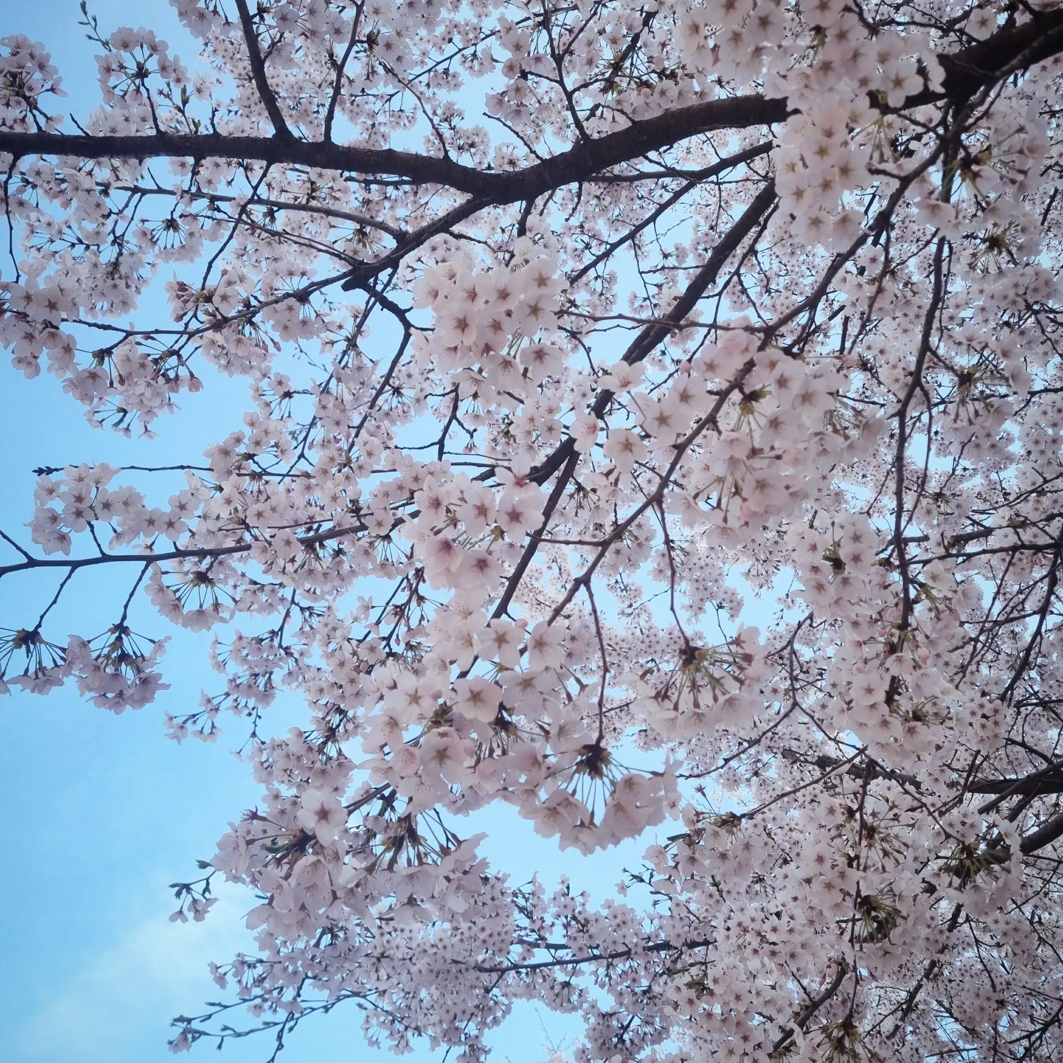 30_WOONG의 돌아와도 없을 내 자리..