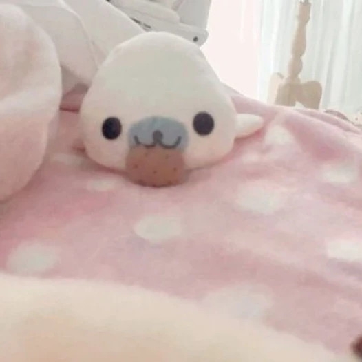 김선생님