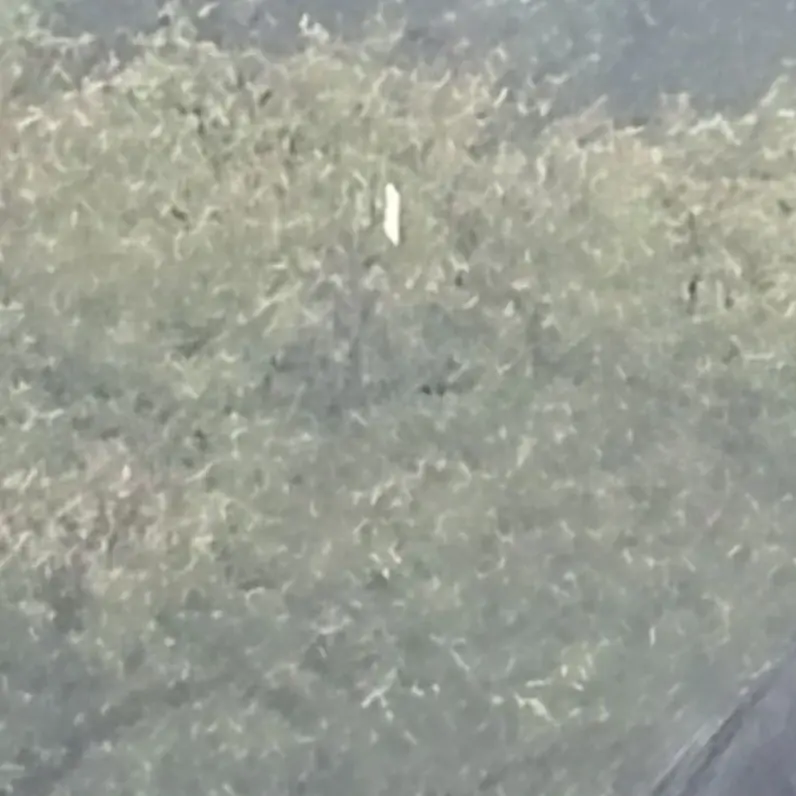 UsefulWasp6227의 内科検診