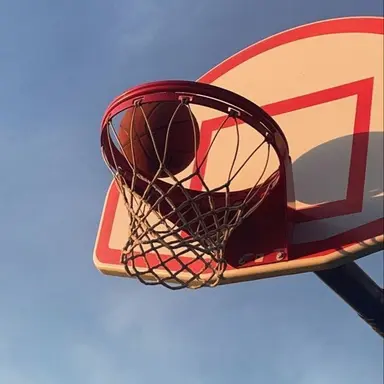 Profile image of 알렉 테일러