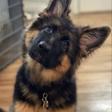 Profile image of 썬더