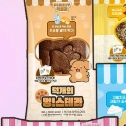 덕개 멍스테라