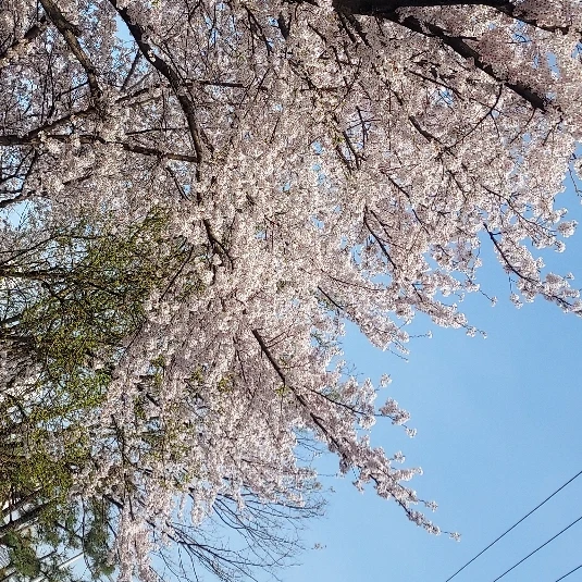 조유빈