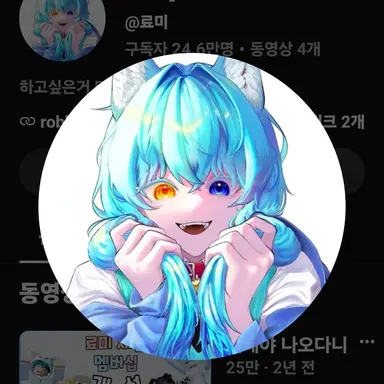 Profile image of 료미