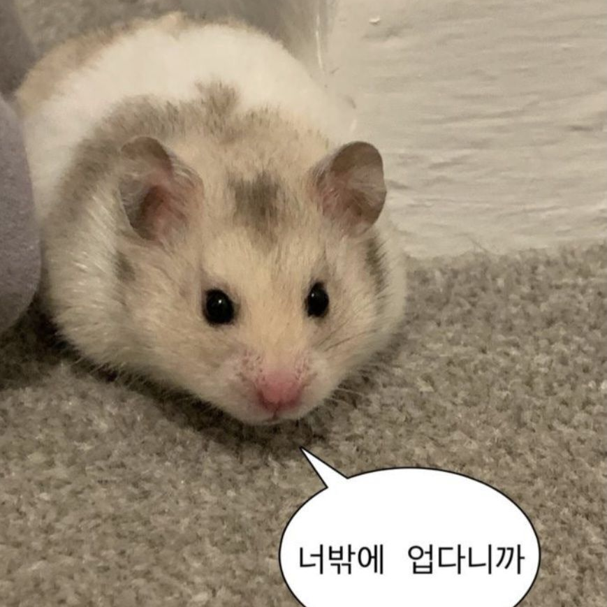 권도연 (재이월드) 대표 이미지