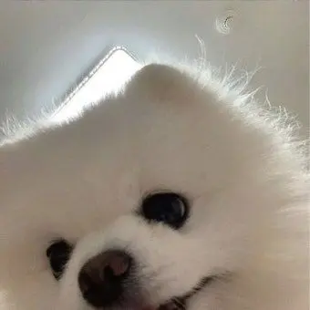 Profile image of 엄지