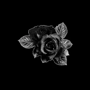 Profile image of 히스클리프