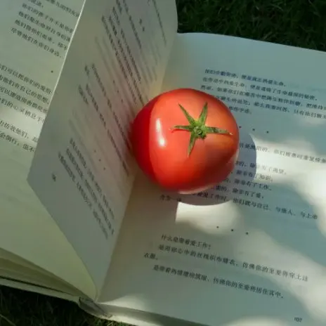 Worldwidetomato의 구정모