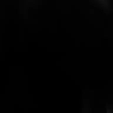 Profile image of 루시