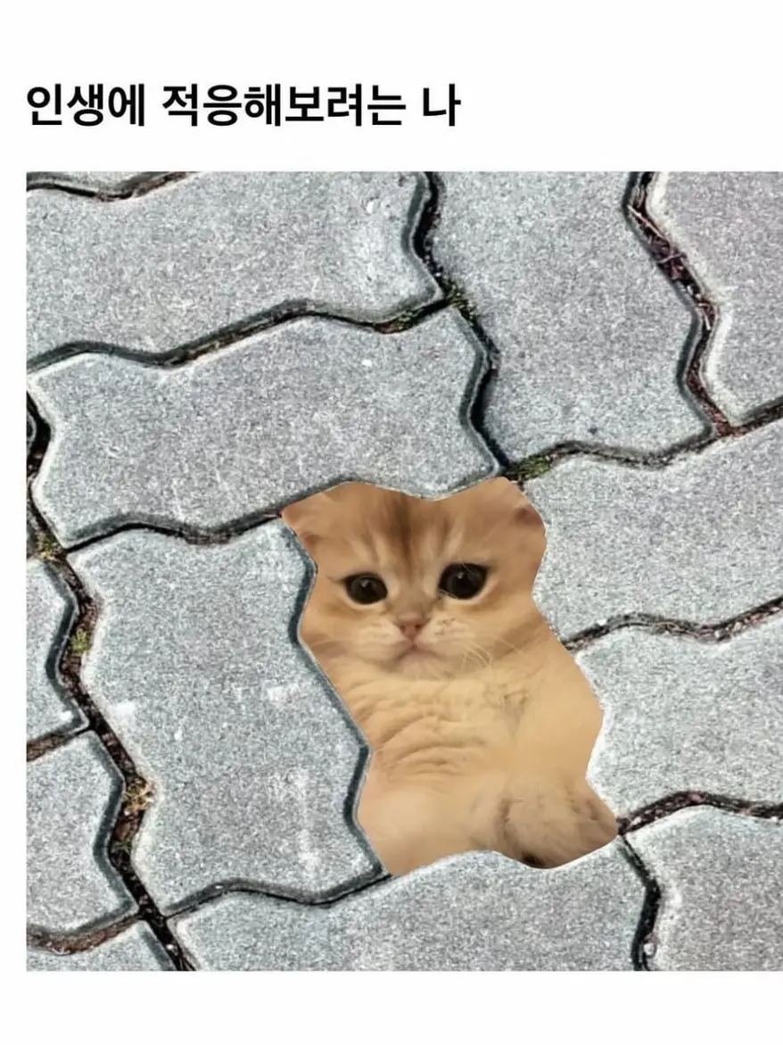 S0130tar의 세상에서 가장 우울한 야채는?