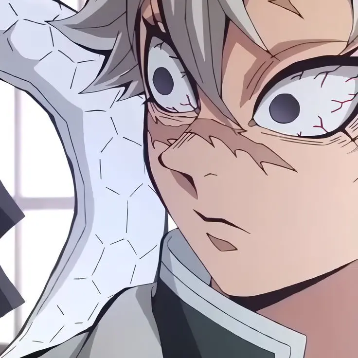 soon14의 시나즈가와 사네미