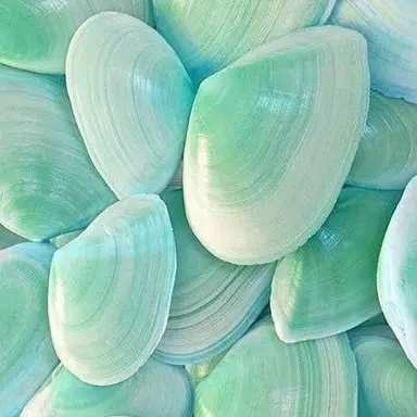 Profile image of 우유참치