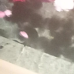 ウォン