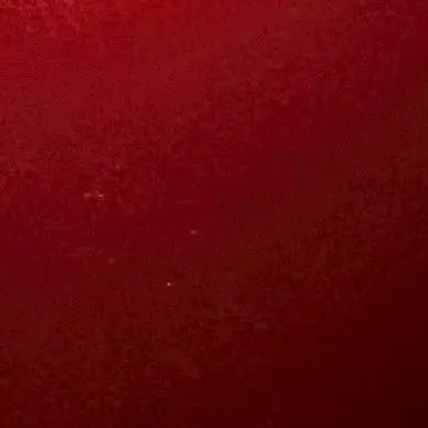 ClassySnack4118의 ヤクザのナンバー2と私