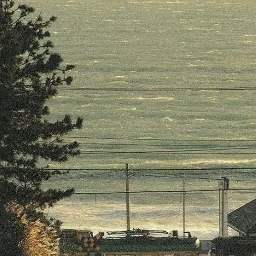 eight_tulip의 울지마, 아니 울어