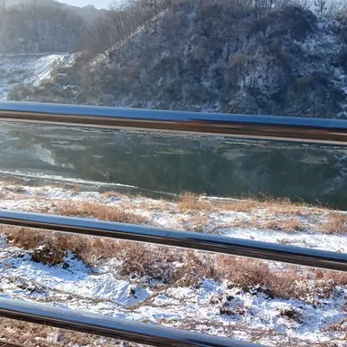 Profile image of 유기사